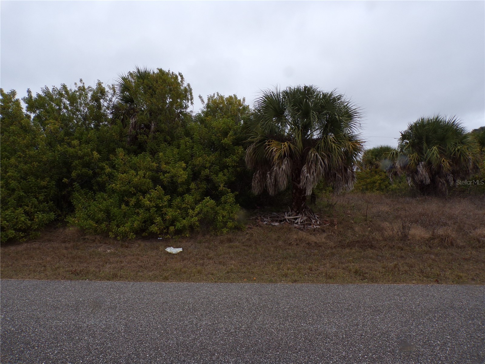 Holster Avenue North Port FL 34287 C7520521 image5