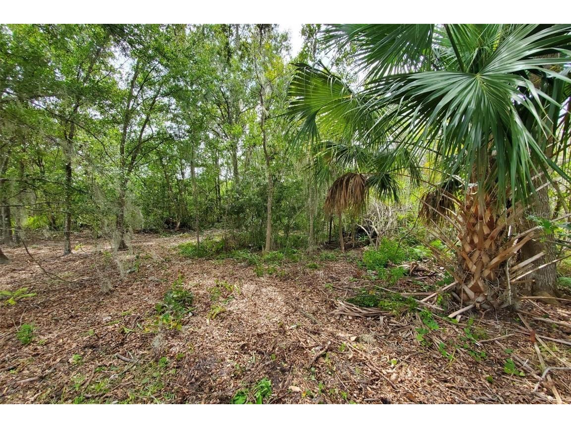 Holy Cow Road Polk City FL 33868 P4936386 image1