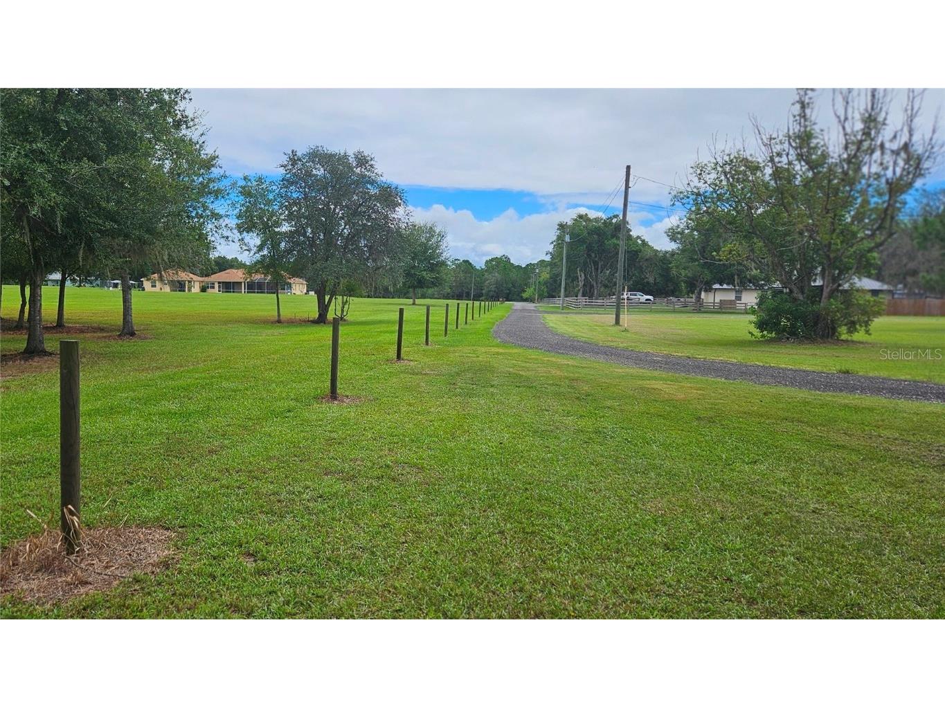 Holy Cow Road Polk City FL 33868 P4936386 image4