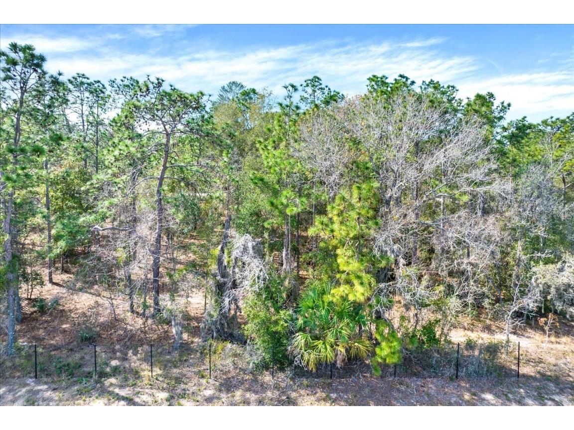 Honeycreeper Road Brooksville FL 34614 TB8416495 image1