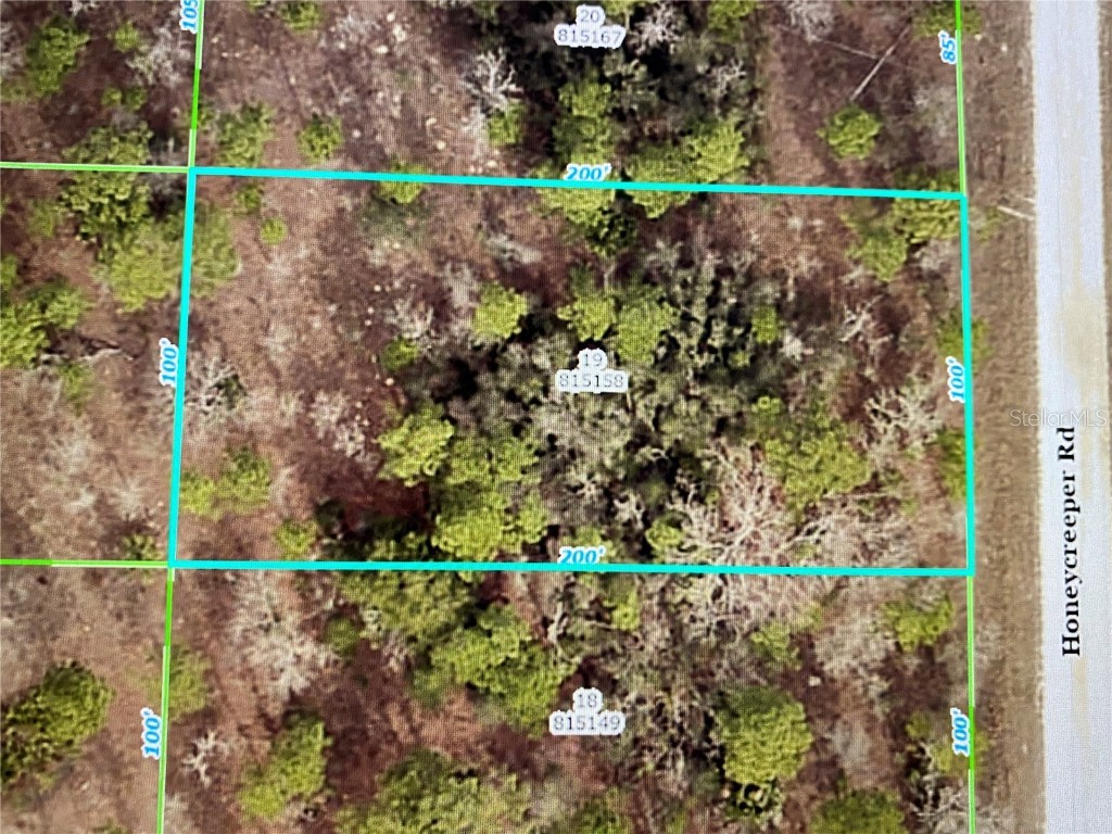 Honeycreeper Road Weeki Wachee FL 34614 T3426864 image1