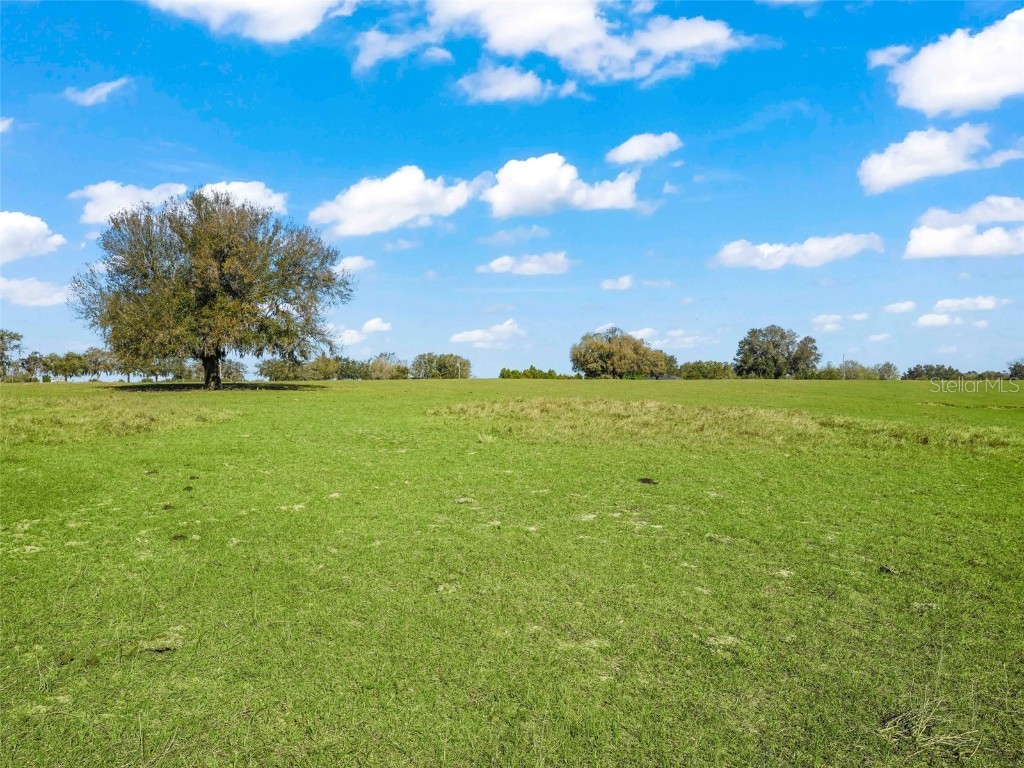 Honeycut Rd Groveland FL 34736 G5065387 image1