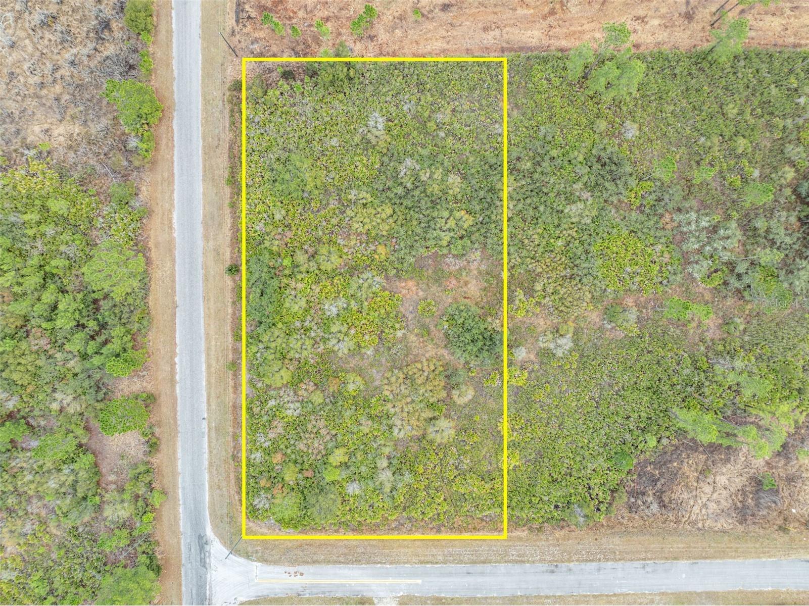 Honeysuckle Street Eustis FL 32736 O6383350 image1