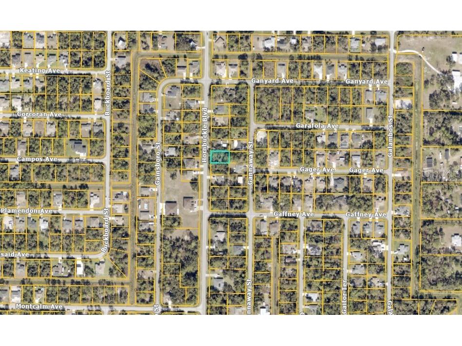Hornbuckle Boulevard North Port FL 34291 C7526950 image4