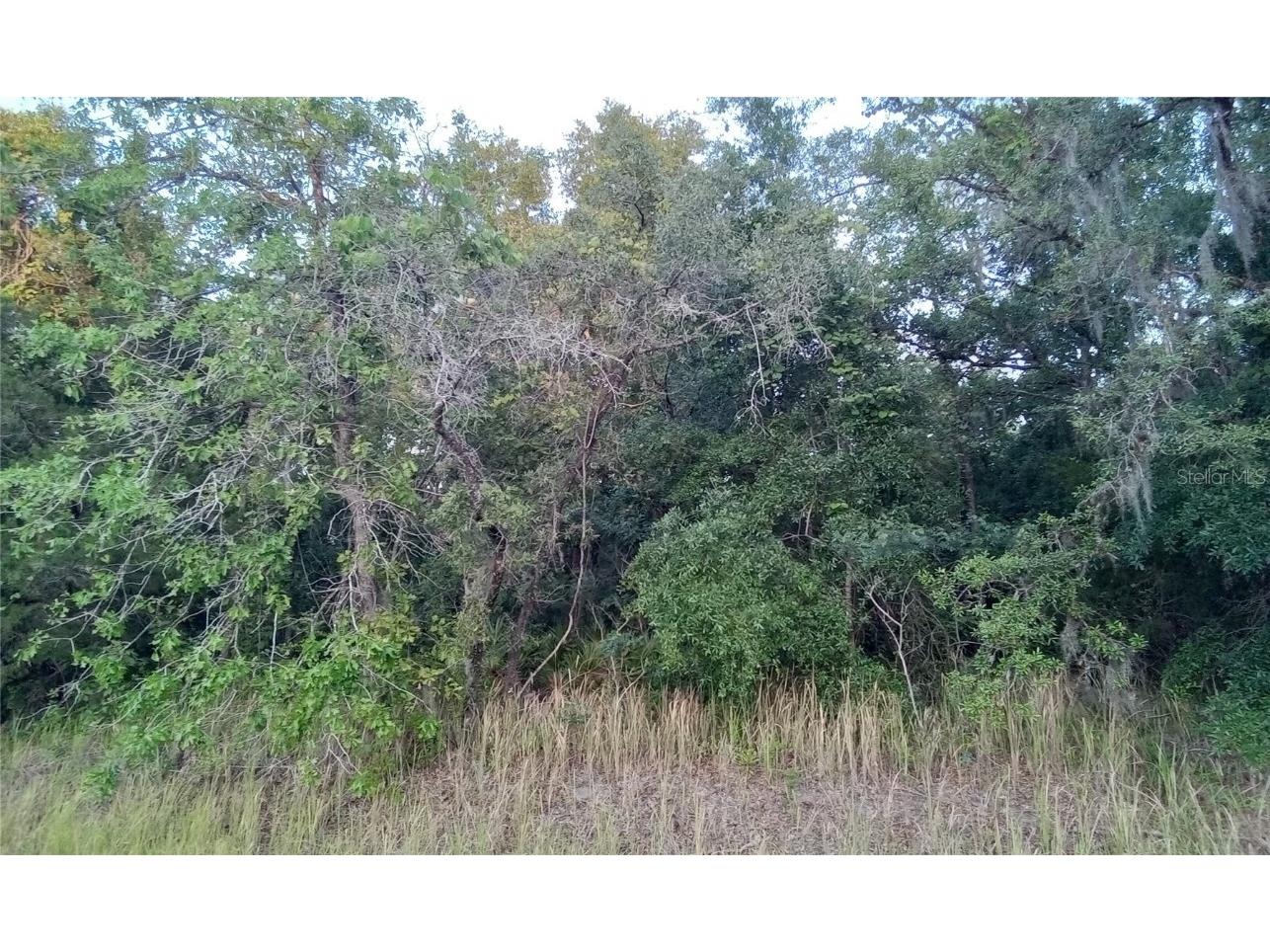 Horned Owl Road Weeki Wachee FL 34614 OM680274 image1