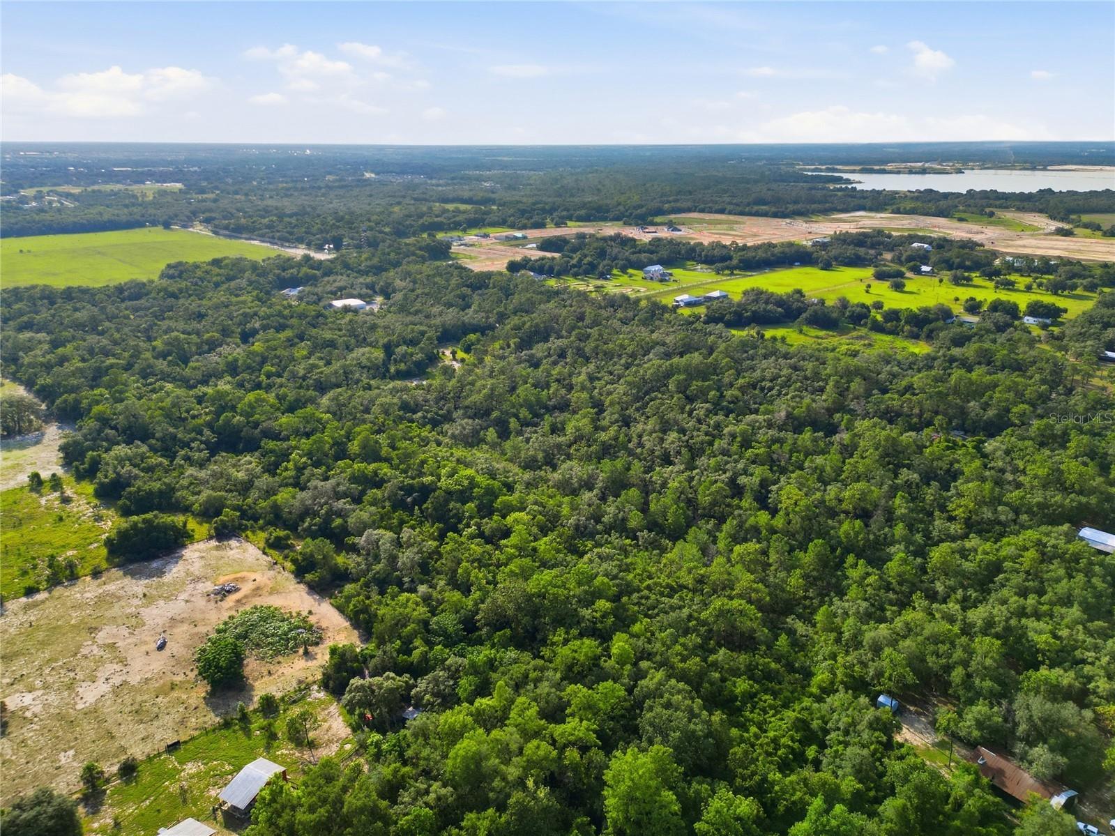 Horseshoe Creek Road Davenport FL 33837 O6418170 image4