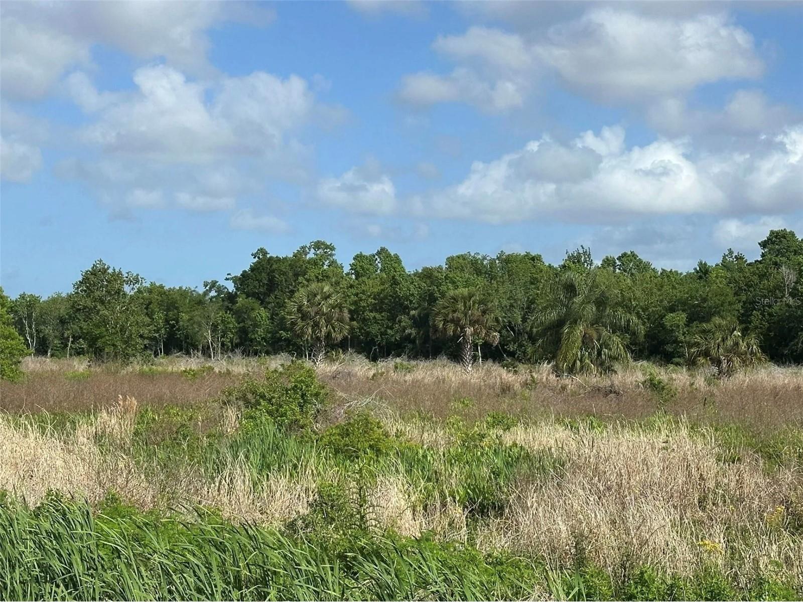 Howard Avenue Oviedo FL 32765 O6402653 image3