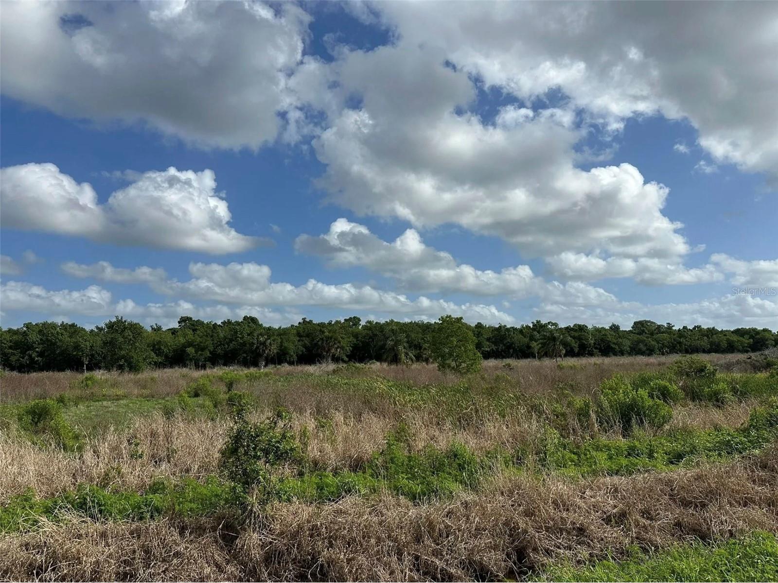 Howard Avenue Oviedo FL 32765 O6402653 image5
