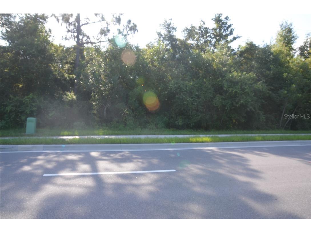 Howland Blvd Deltona FL 32738 V4908648 image1