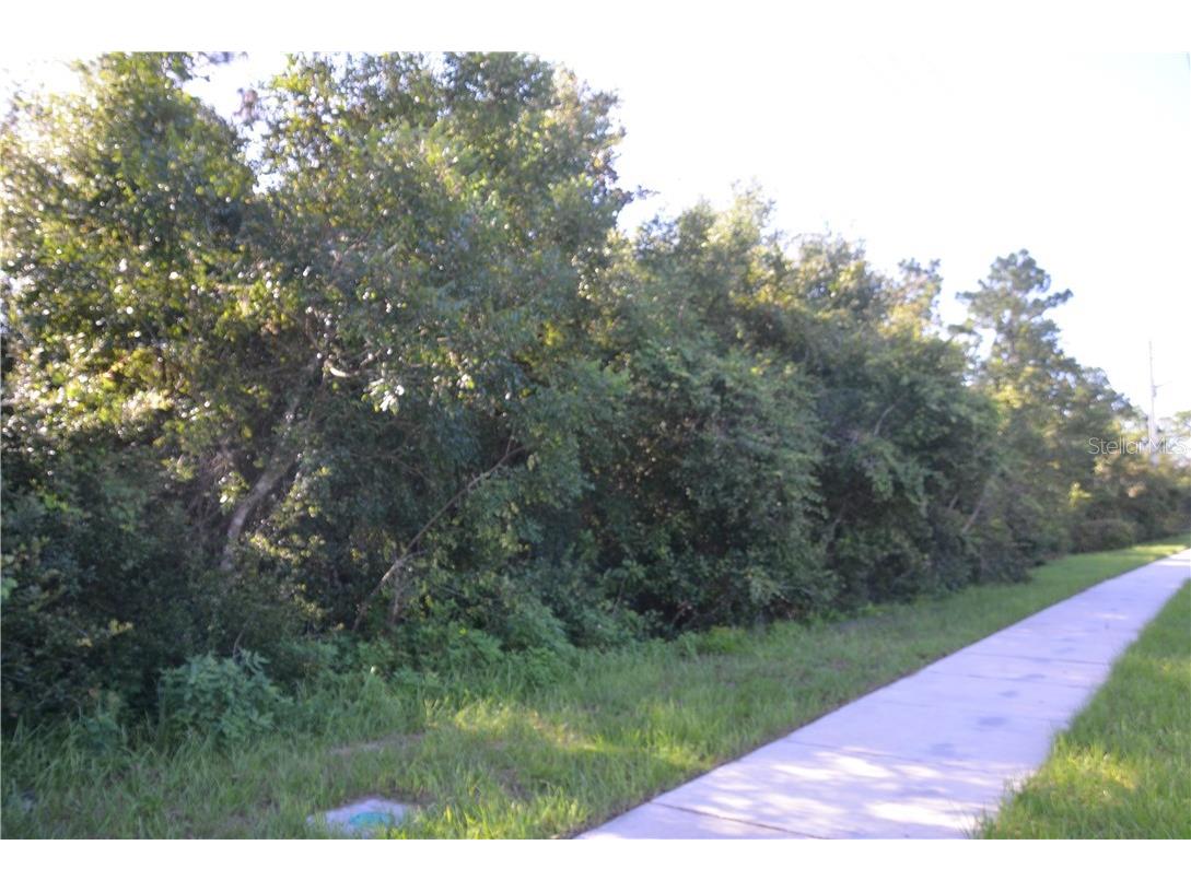 Howland Blvd Deltona FL 32738 V4908648 image2
