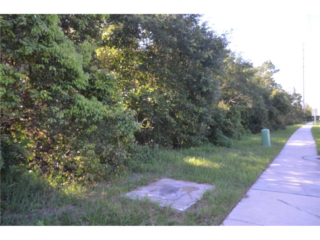 Howland Blvd Deltona FL 32738 V4908648 image3