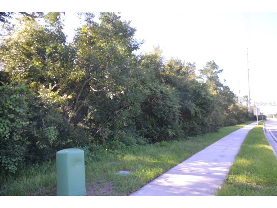 Howland Blvd Deltona FL 32738 V4908648 image4