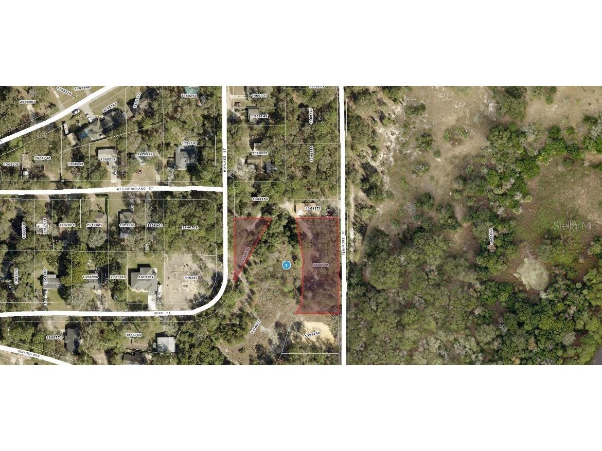 Hoy Lake Street Mount Plymouth FL 32776 O6262452 image1