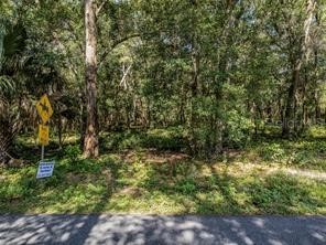Huff Road Eustis FL 32726 G5104867 image4