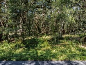 Huff Road Eustis FL 32726 G5104867 image6
