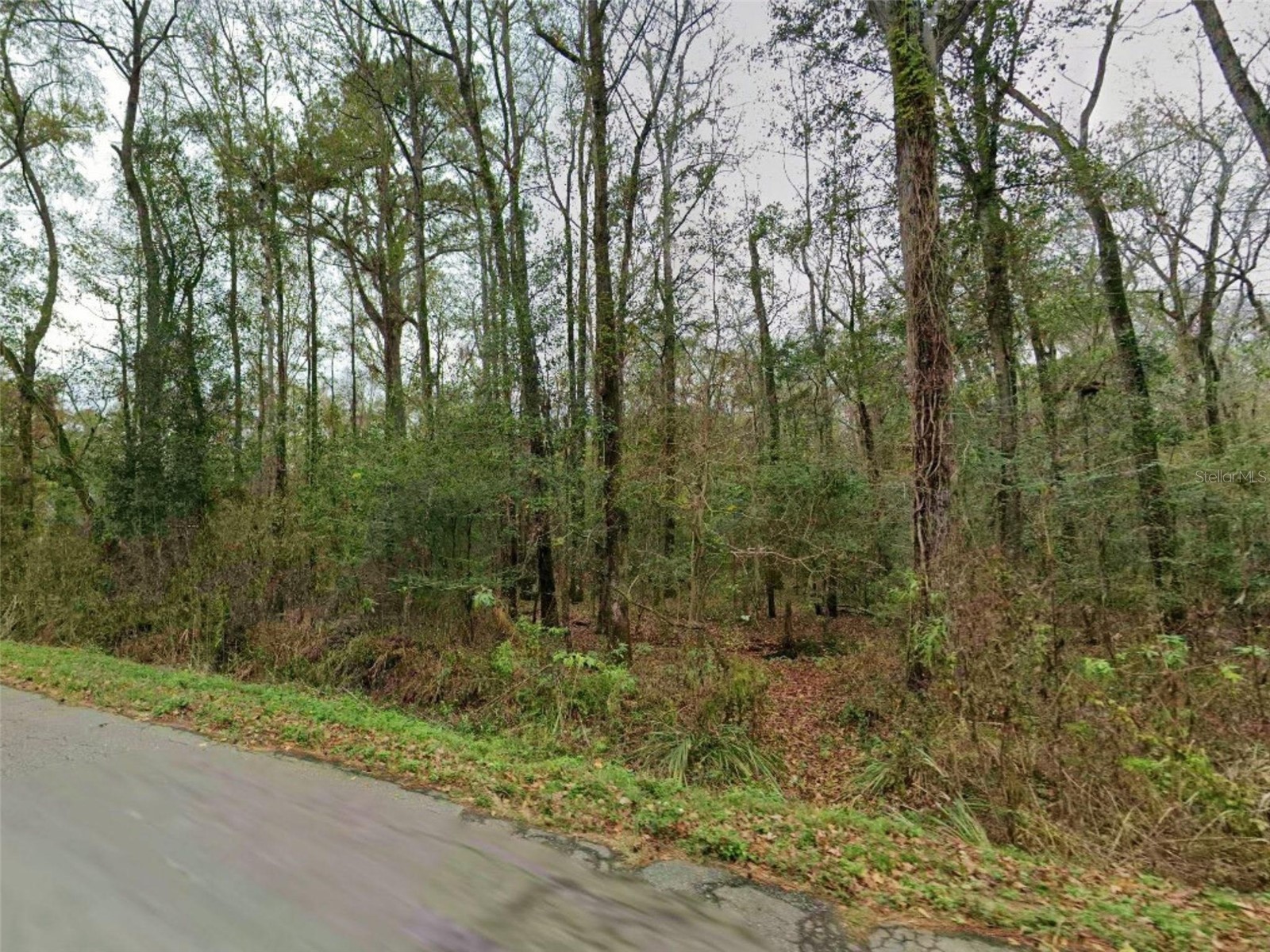 Hugh Rd Tallahassee FL 32309 S5145696 image3