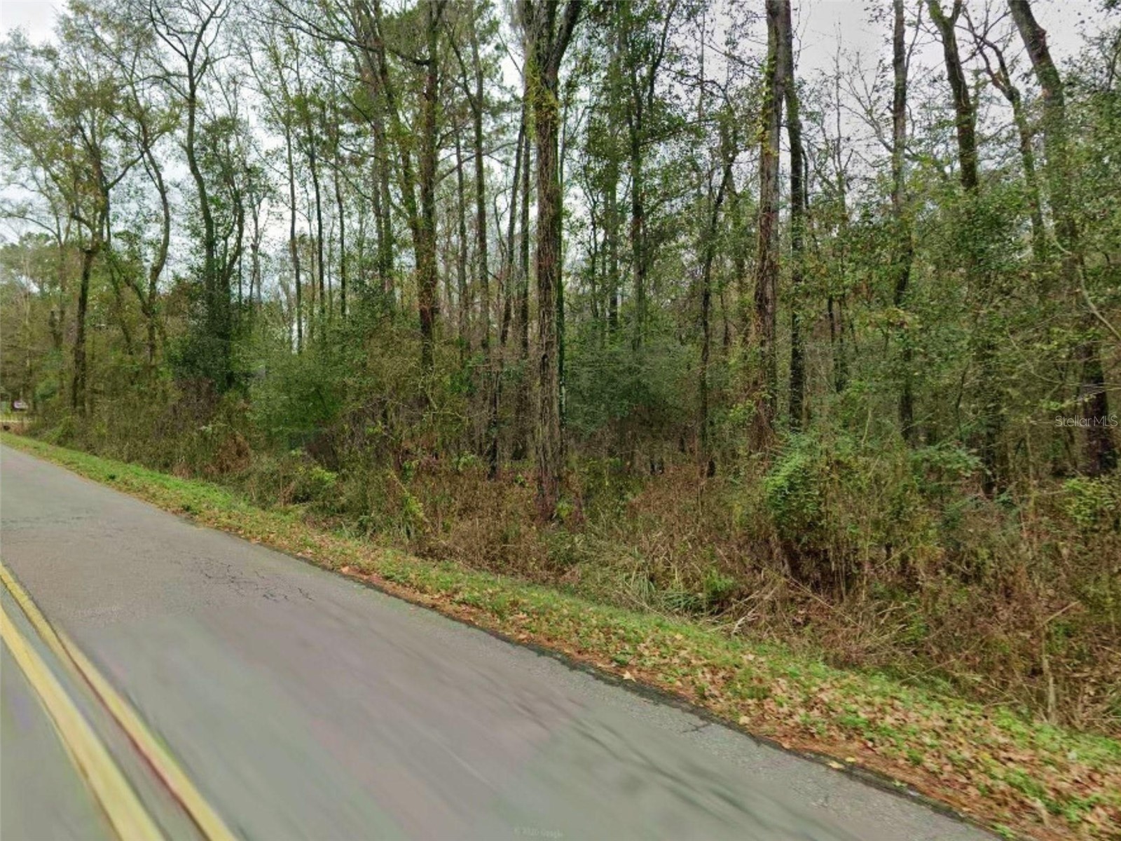Hugh Rd Tallahassee FL 32309 S5145696 image4