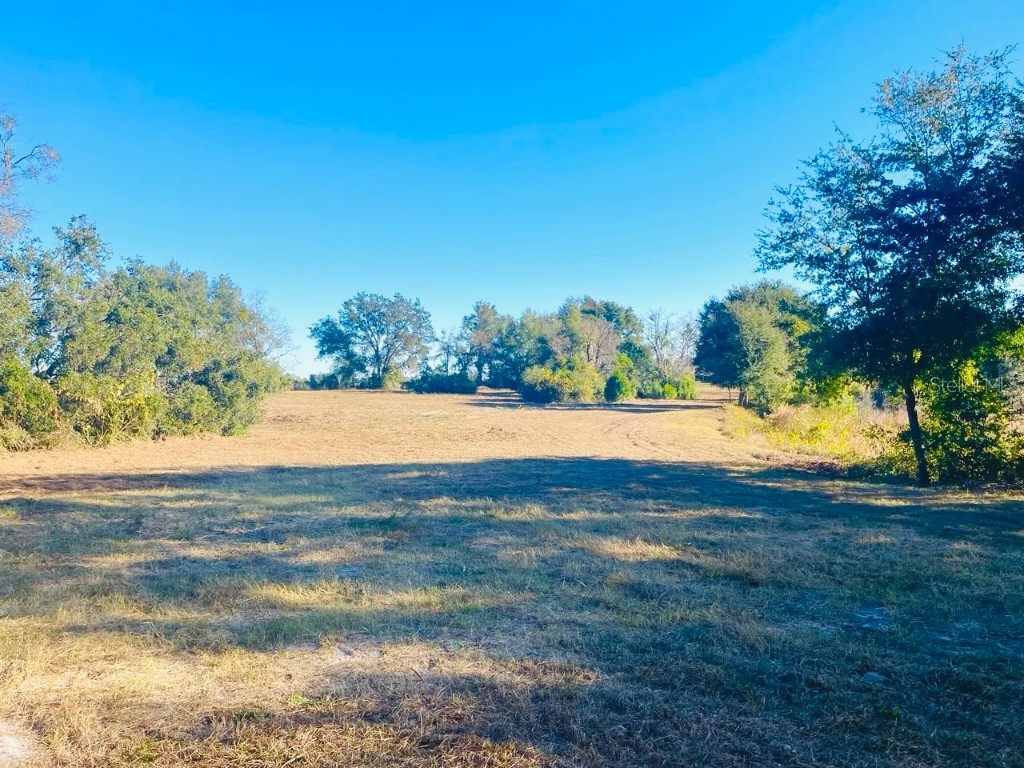 Hunters Trace Lane Clermont FL 34715 TB8460650 image10