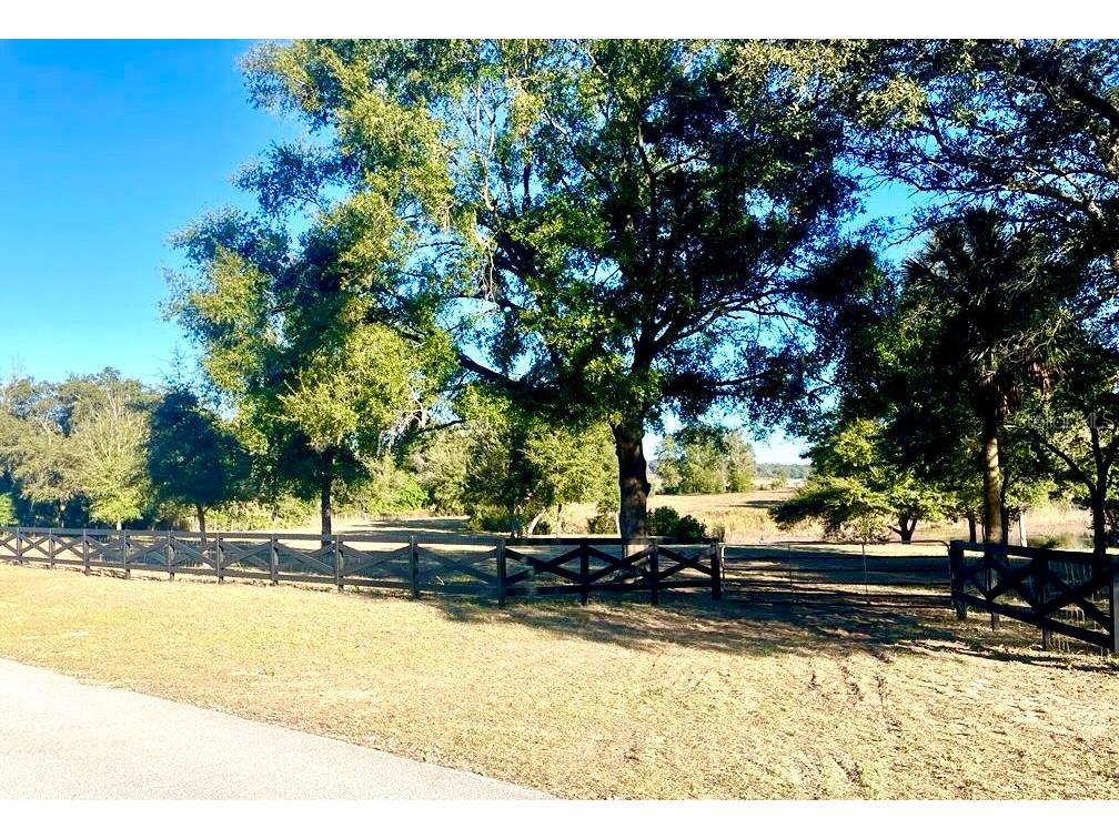 Hunters Trace Lane Clermont FL 34715 TB8460650 image12