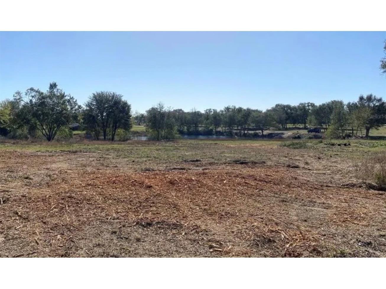 Hunters Trace Lane Clermont FL 34715 TB8460650 image14