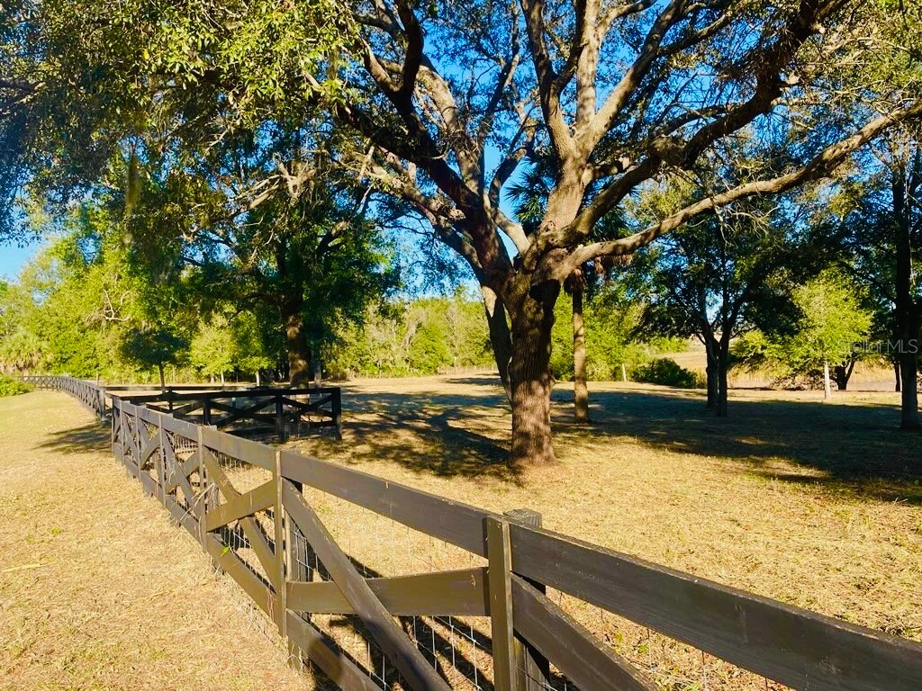 Hunters Trace Lane Clermont FL 34715 TB8460650 image3