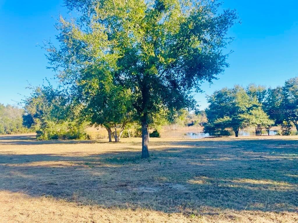 Hunters Trace Lane Clermont FL 34715 TB8460650 image8