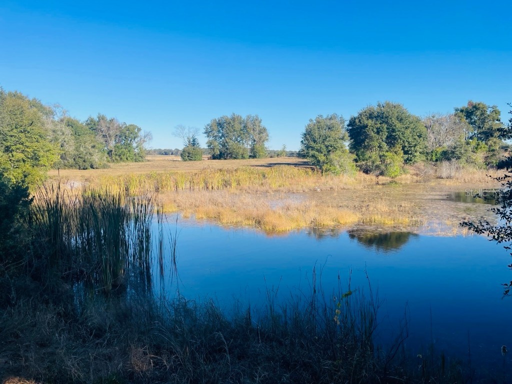 Hunters Trace Lane Clermont FL 34715 TB8460650 image9