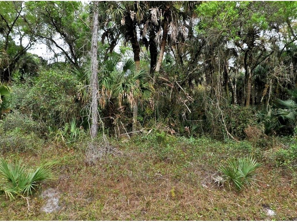 Hurdle Rd. North Port FL 34291 A4652471 image1