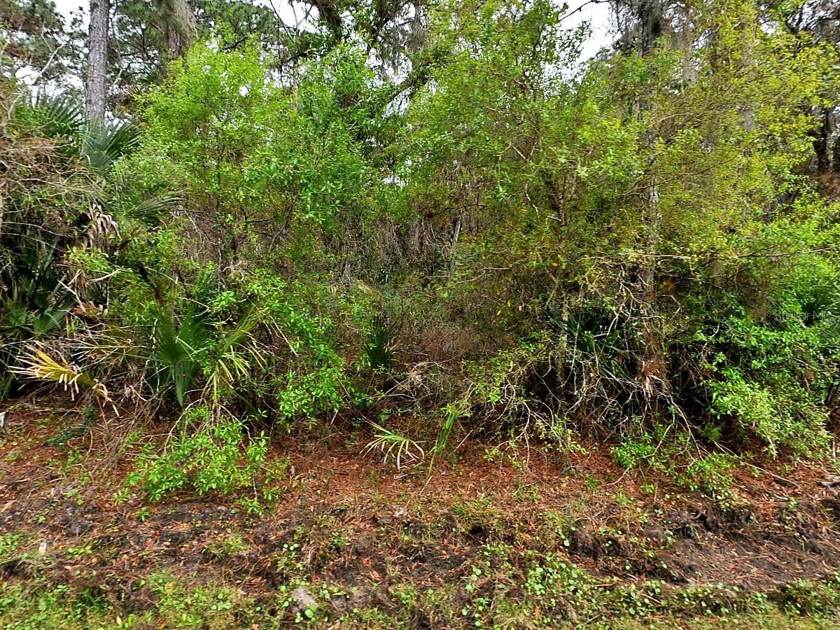 Hurdle Rd. North Port FL 34291 A4688727 image1