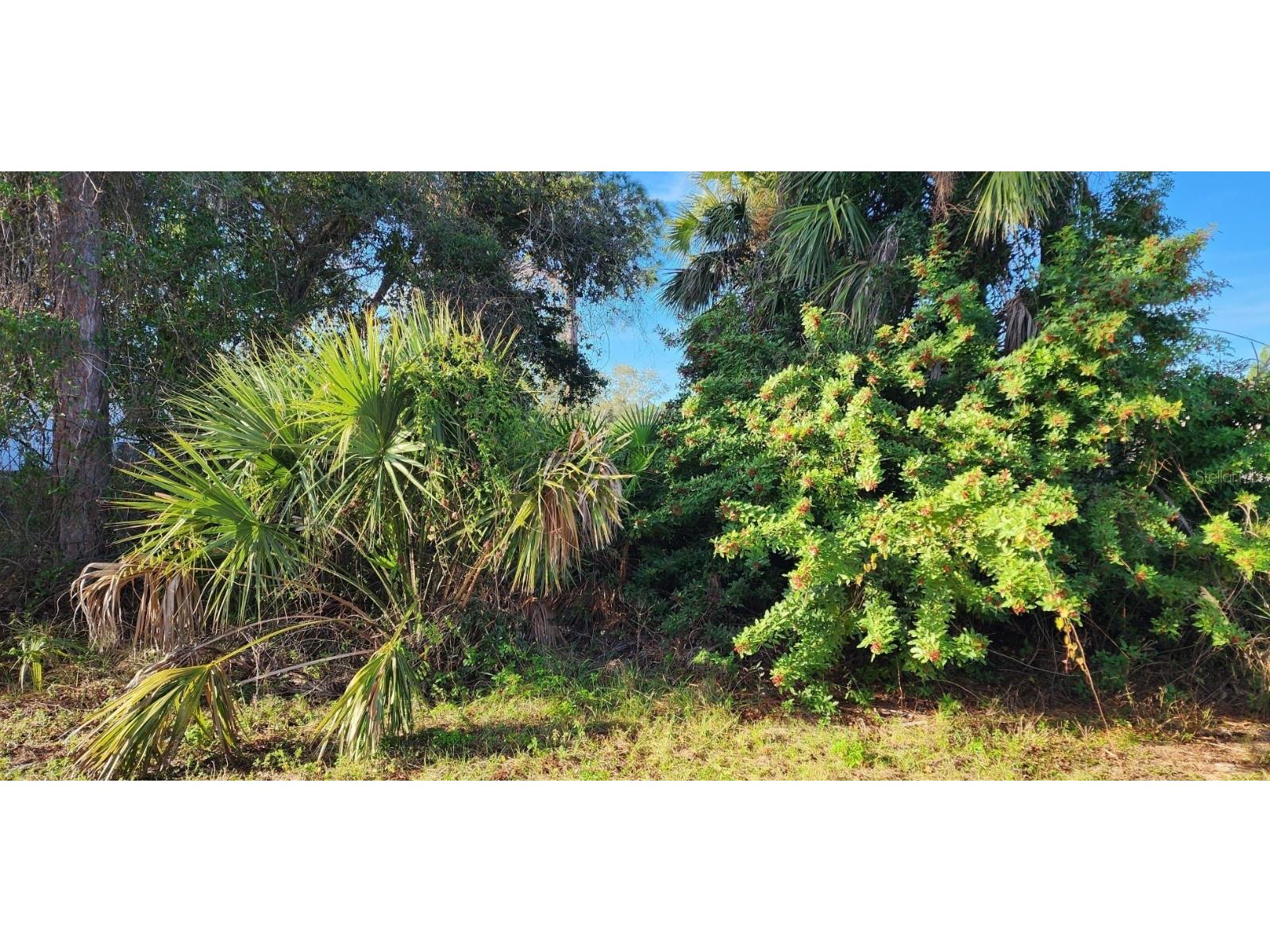 Hurley Avenue North Port FL 34288 C7487787 image1