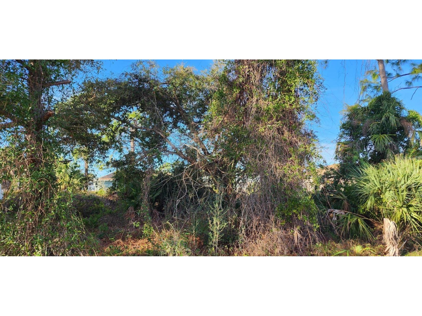 Hurley Avenue North Port FL 34288 C7487787 image3