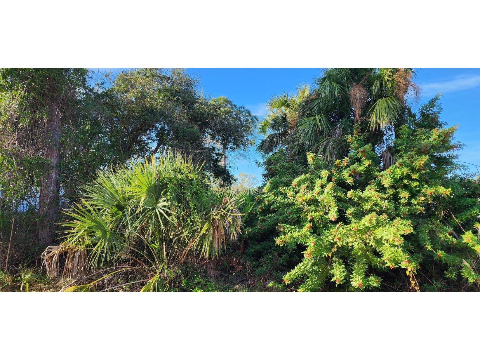 Hurley Avenue North Port FL 34288 C7487787 image6