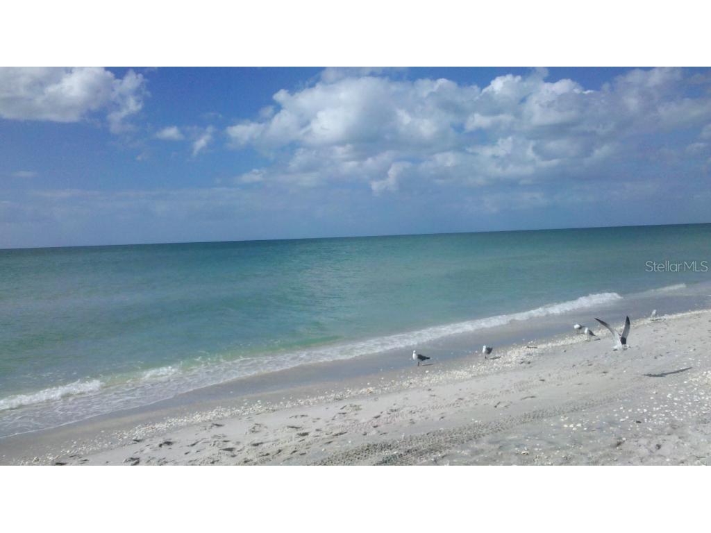 Hurley Avenue North Port FL 34288 C7487787 image7