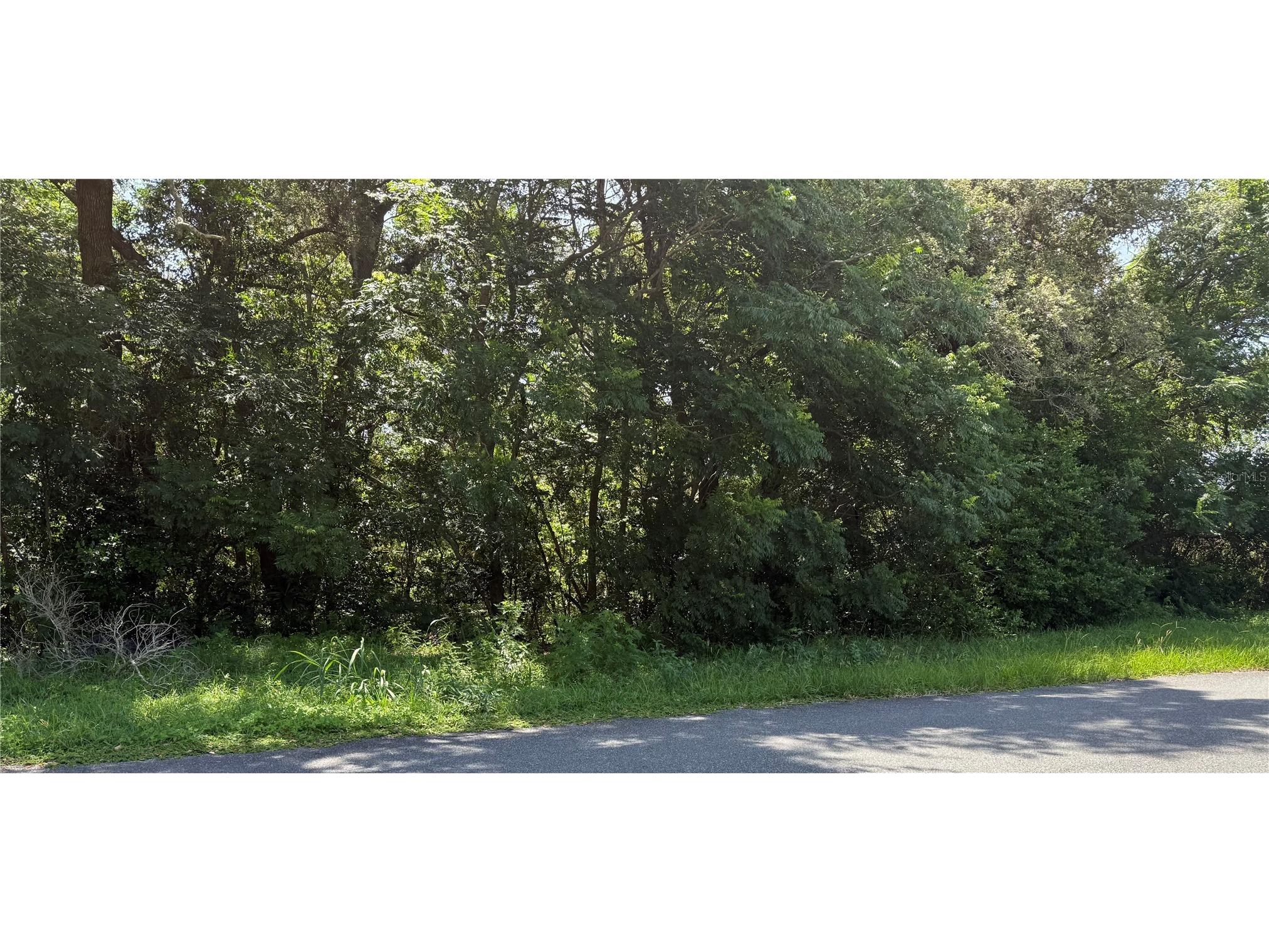 Hutchinson Way Lady Lake FL 32159 O6373384 image1