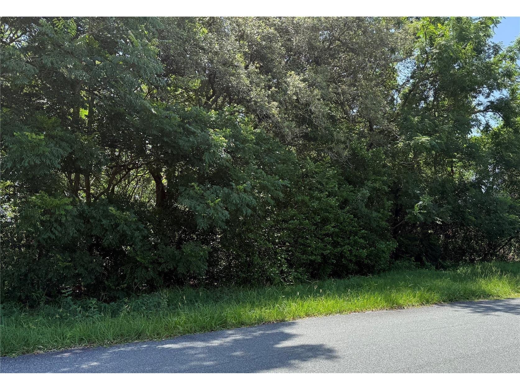 Hutchinson Way Lady Lake FL 32159 O6373384 image2