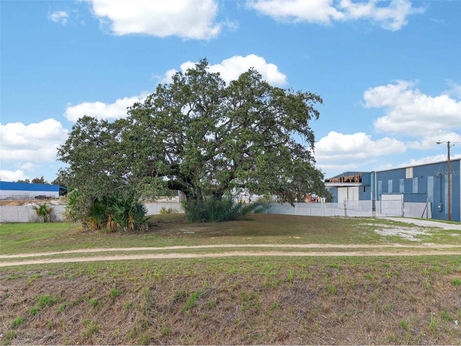 Hwy 17 92 N Haines City FL 33844 P4938174 image8