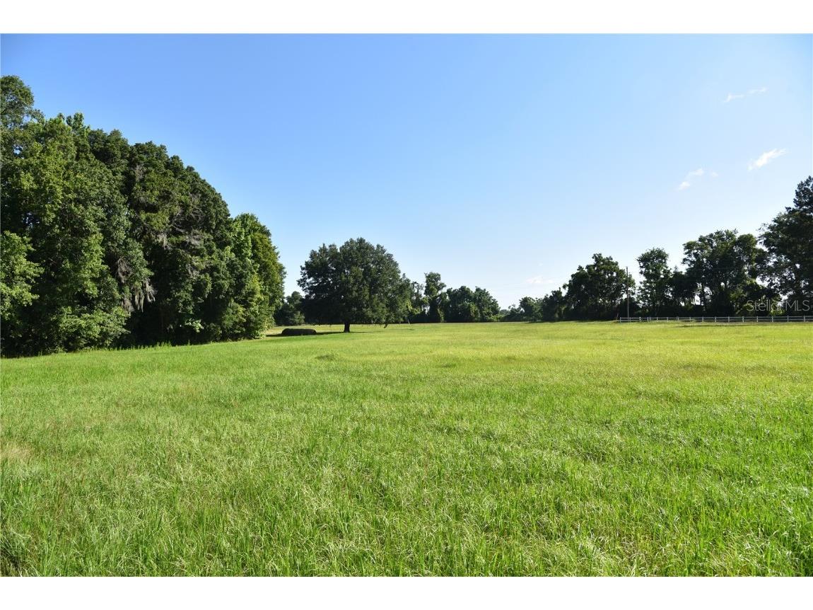 Hwy 241 Alachua FL 32615 OM639125 image1