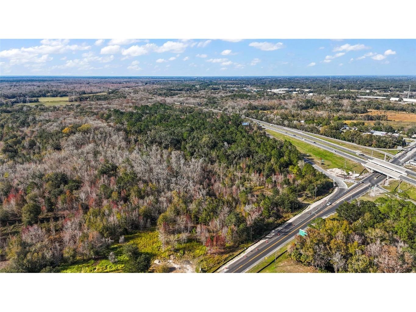 Hwy 301 / Main Street Wildwood FL 34785 G5086974 image3