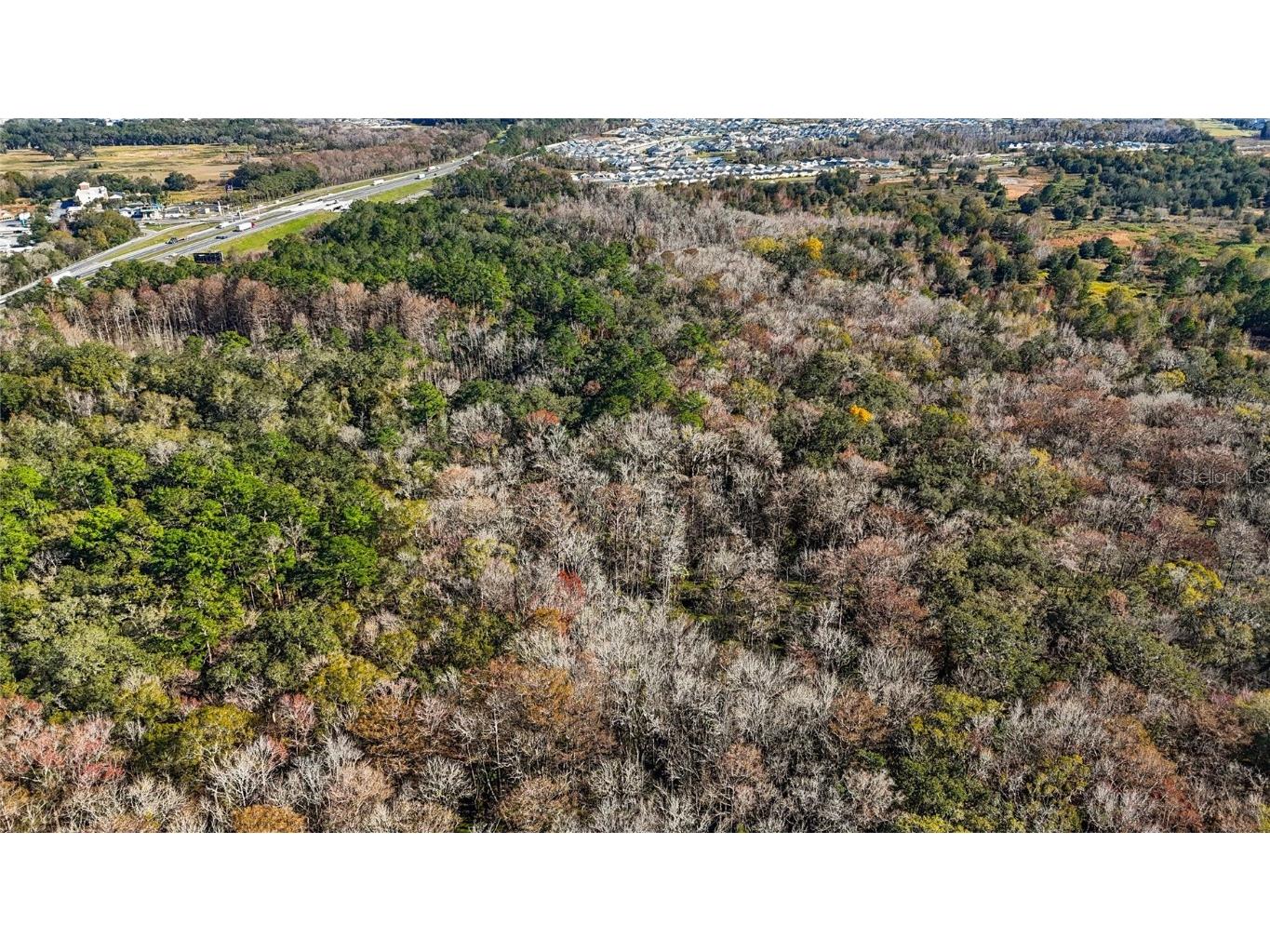 Hwy 301 / Main Street Wildwood FL 34785 G5086974 image9