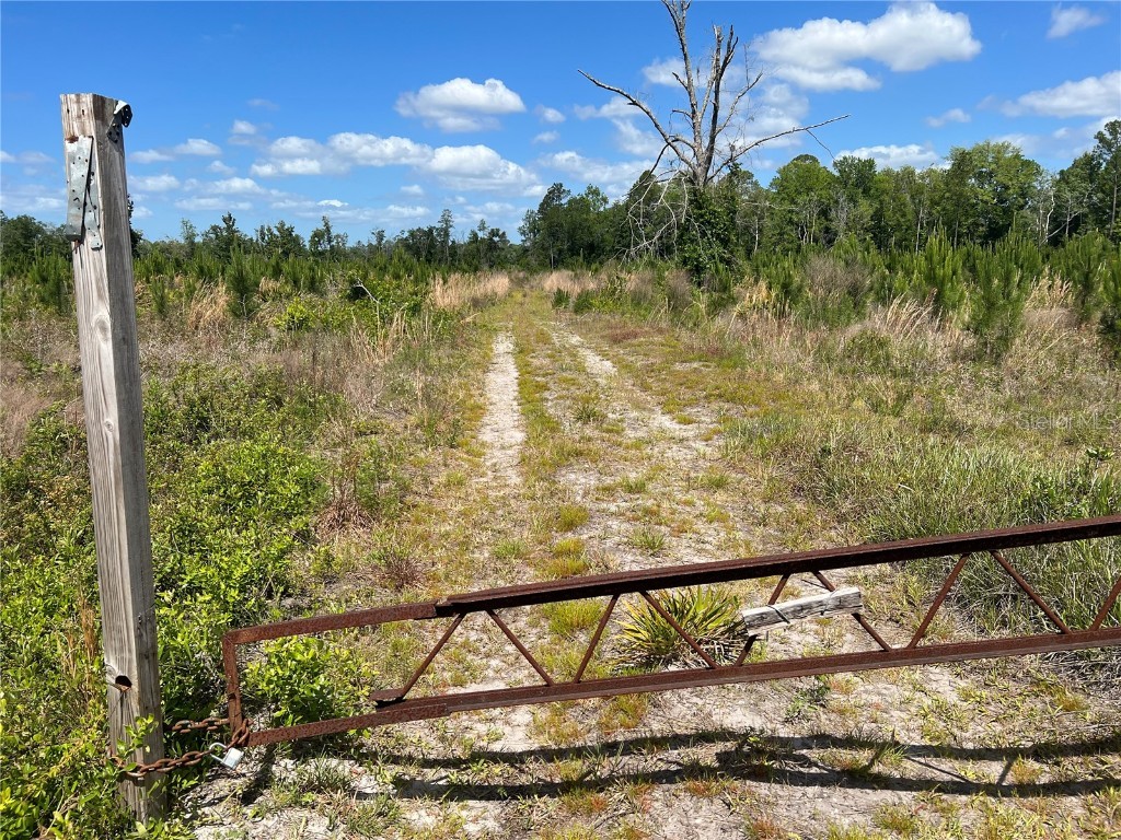 Hwy 40 Dunnellon FL 34430 P4930255 image2