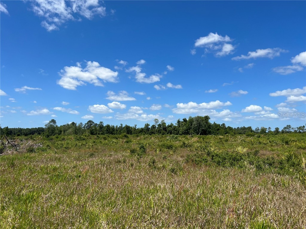 Hwy 40 Dunnellon FL 34430 P4930255 image3