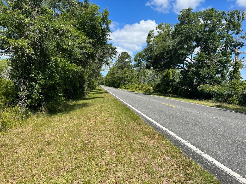 Hwy 40 Dunnellon FL 34430 P4930255 image7