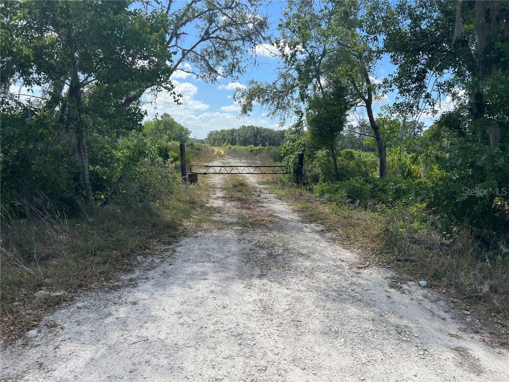 Hwy 40 Dunnellon FL 34430 P4930255 image8