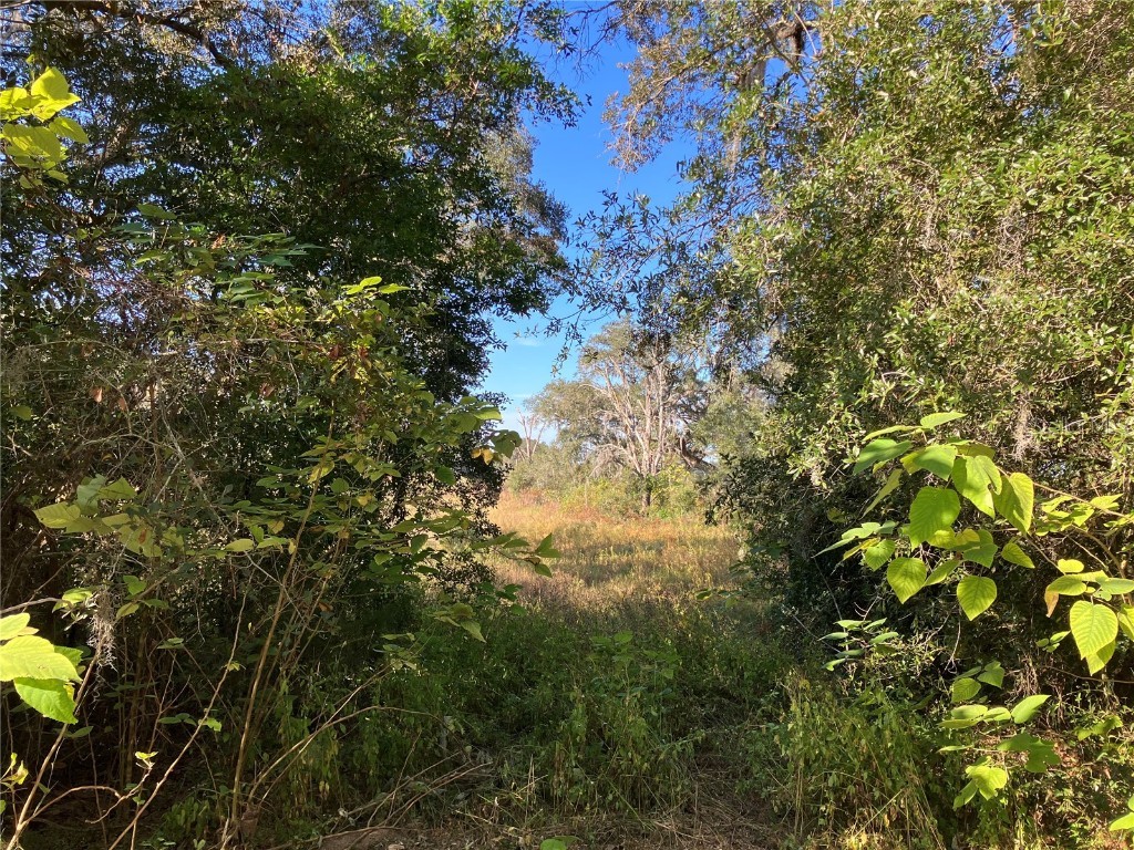 Hwy 41 Dunnellon FL 34432 T3485221 image1