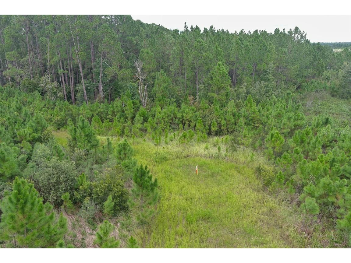 Hwy 474 Clermont FL 34711 G5086814 image1