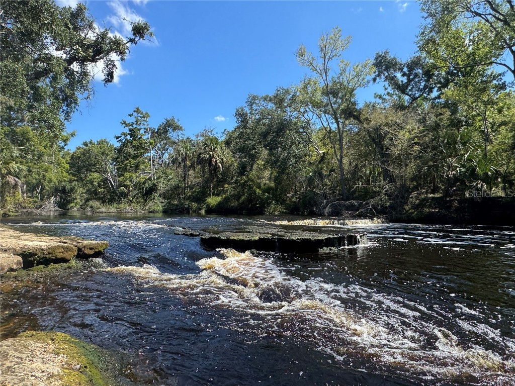 Hwy 51 Ne Steinhatchee FL 32359 OM709063 image6