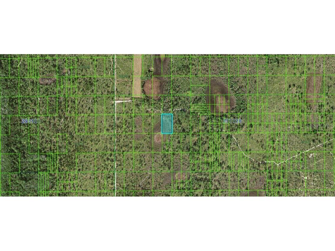 Hwy 60 E Frostproof FL 33843 O6272542 image4