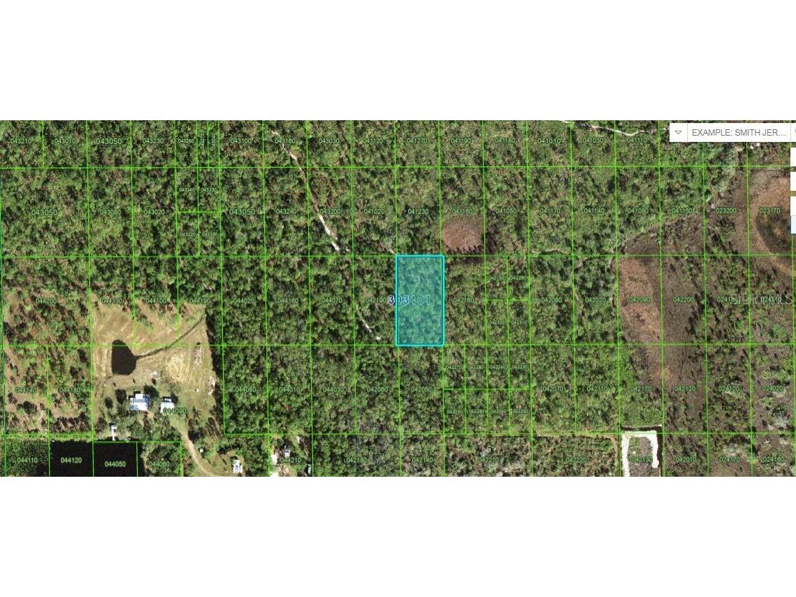 Hwy 60 E Lake Wales FL 33898 O6265120 image2