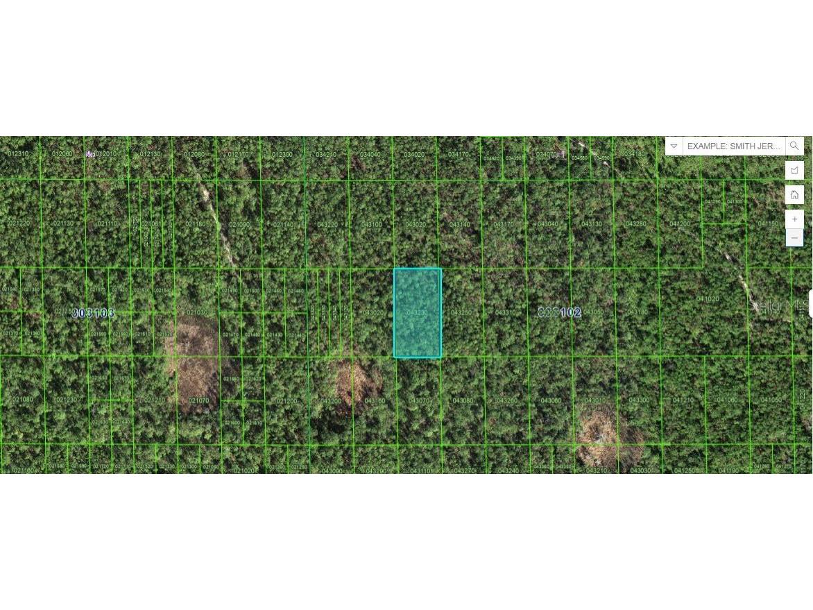 Hwy 60 E Lake Wales FL 33898 O6266584 image1