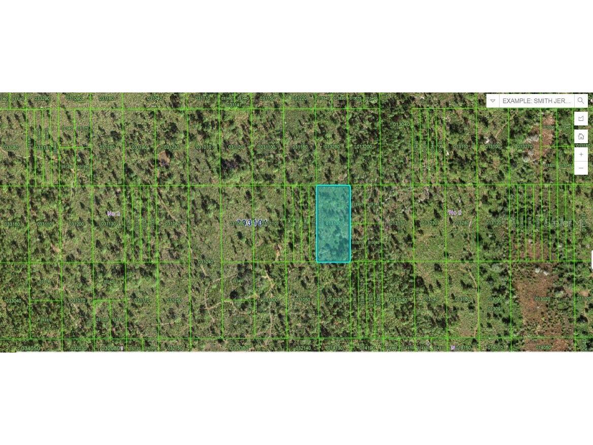 Hwy 60 E Lake Wales FL 33898 O6270319 image1